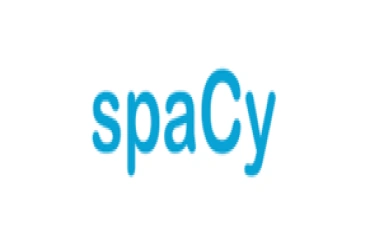 Automatisation des Processus Documentaires avec spaCy : NER, Tokenisation et Parsing Syntaxique